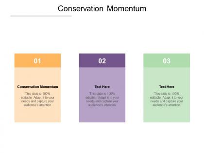 Conservation momentum ppt powerpoint presentation portfolio structure cpb