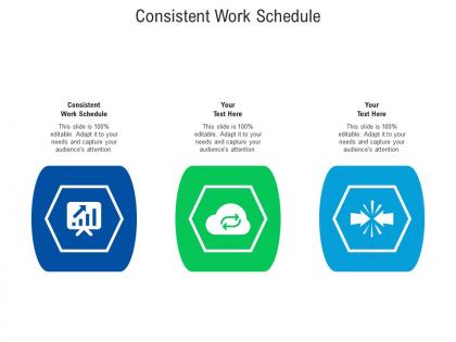Consistent work schedule ppt powerpoint presentation show graphics download cpb