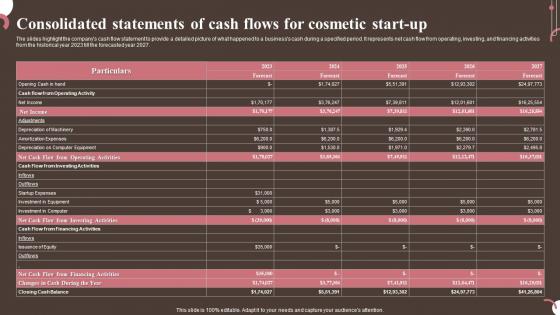 Consolidated Of Cash Flows For Cosmetic Start Up Personal And Beauty Care Business Plan BP SS