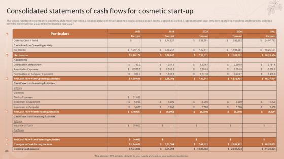 Consolidated Statements Of Cash Flows For Cosmetic Start Up Natural Cosmetic Business Plan BP SS