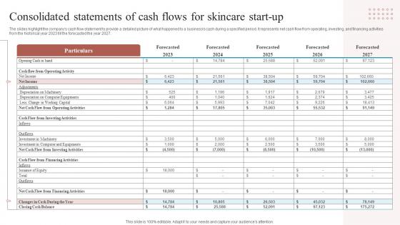 Consolidated Statements Of Cash Flows For Skincare Start Up Business Plan BP SS