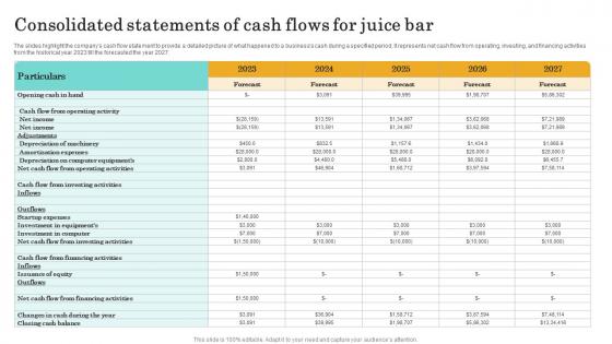 Consolidated Statements Of Cash Flows Nutritional Beverages Business Plan BP SS