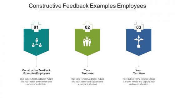 Constructive Feedback Examples Employees Ppt Powerpoint Presentation Inspiration Diagrams Cpb