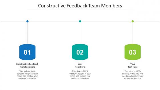 Constructive feedback team members ppt powerpoint presentation slides structure cpb