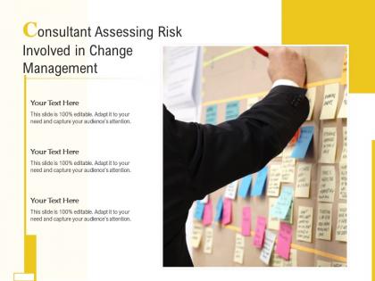 Consultant assessing risk involved in change management