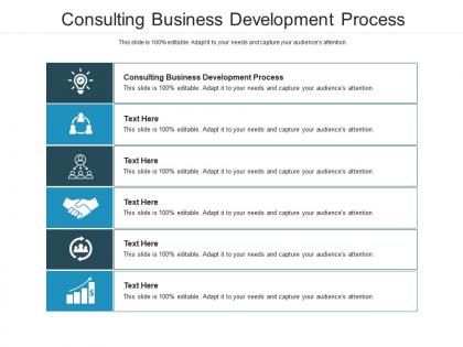 Consulting business development process ppt powerpoint presentation styles show cpb