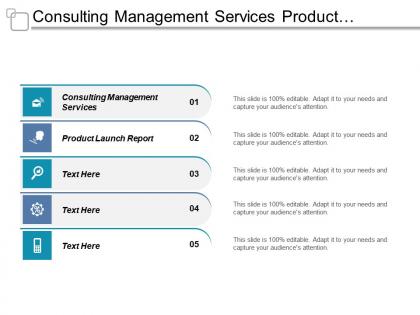 Consulting management services product launch report data strategies cpb