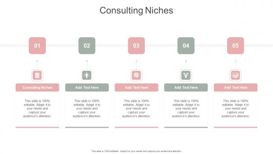 Consulting Niches In Powerpoint And Google Slides Cpb