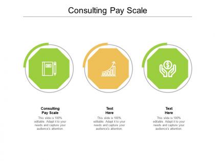 Consulting pay scale ppt powerpoint presentation infographic template templates cpb