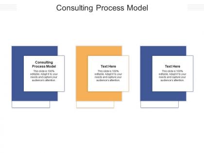 Consulting process model ppt powerpoint presentation professional clipart cpb