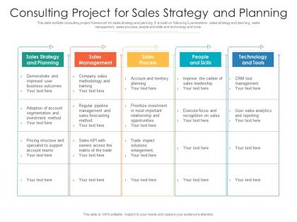 Consulting project for sales strategy and planning