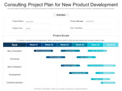 Consulting project plan for new product development