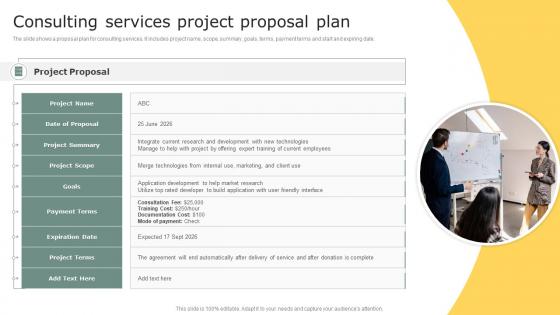 Consulting Services Project Proposal Plan