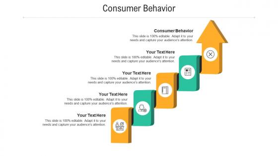 Consumer behavior ppt powerpoint presentation infographics files cpb