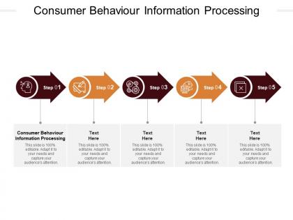 Consumer behaviour information processing ppt powerpoint presentation pictures template cpb
