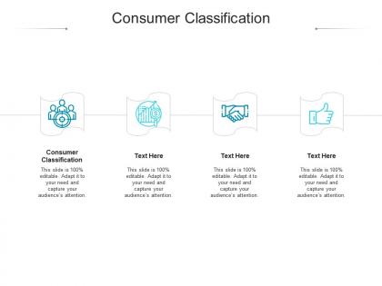 Consumer classification ppt powerpoint presentation infographic template structure cpb
