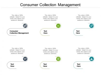 Consumer collection management ppt powerpoint presentation file outline cpb