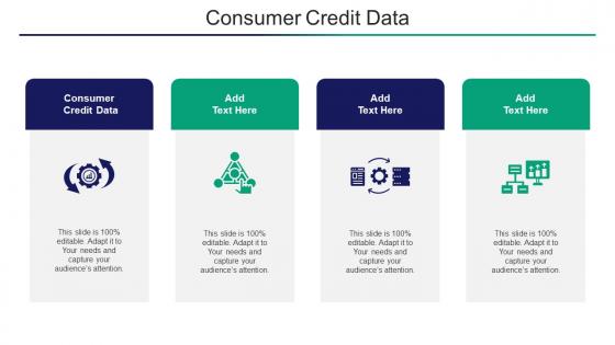 Consumer Credit Data Ppt Powerpoint Presentation Gallery Elements Cpb