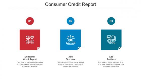 Consumer Credit Report Ppt Powerpoint Presentation Ideas Information Cpb