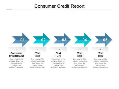 Consumer credit report ppt powerpoint presentation model graphics pictures cpb