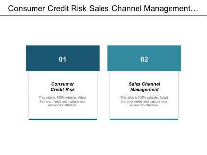 Consumer credit risk sales channel management personal organization cpb