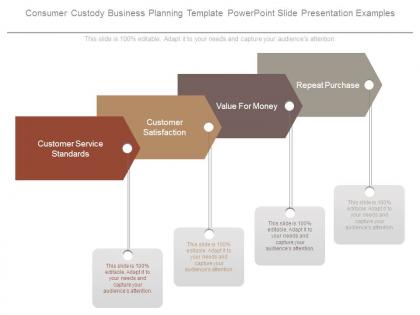 Consumer custody business planning template powerpoint slide presentation examples