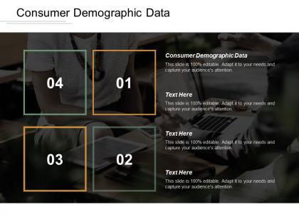 Consumer demographic data ppt powerpoint presentation gallery graphics cpb
