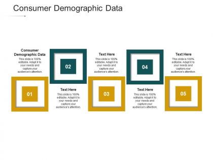 Consumer demographic data ppt powerpoint presentation infographics diagrams cpb