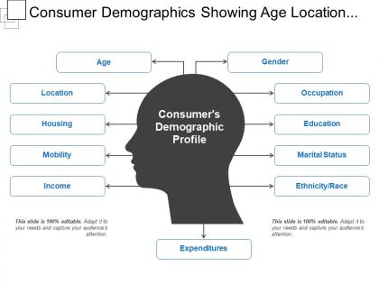 Consumer demographics showing age location occupation gender
