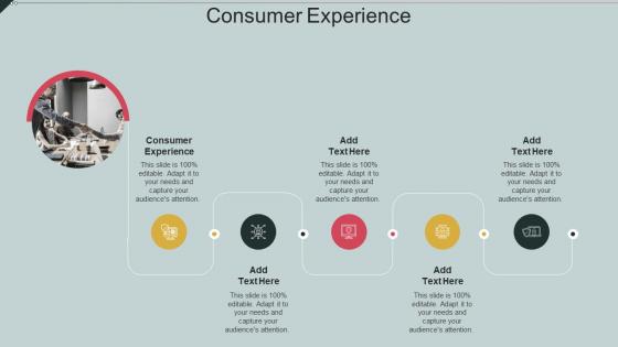 Consumer Experience In Powerpoint And Google Slides Cpb