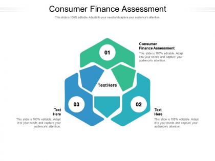 Consumer finance assessment ppt powerpoint presentation infographics guide cpb