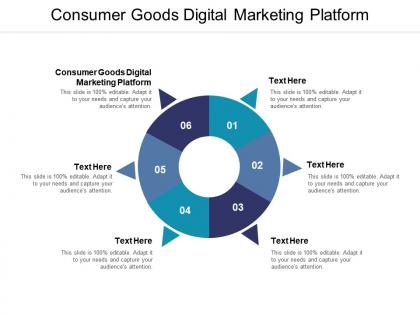 Consumer goods digital marketing platform ppt powerpoint presentation diagrams cpb
