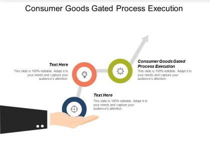 Consumer goods gated process execution ppt powerpoint presentation model infographics cpb