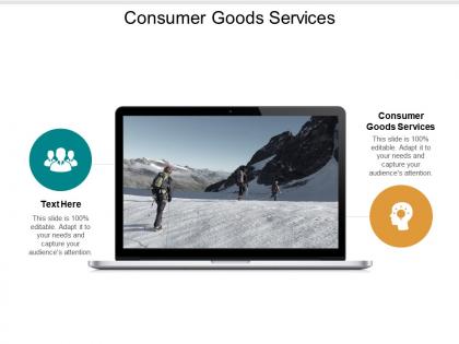 Consumer goods services ppt powerpoint presentation file examples cpb