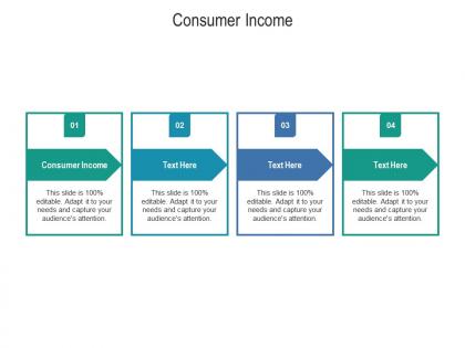 Consumer income ppt powerpoint presentation portfolio structure cpb