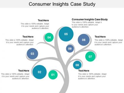 Consumer insights case study ppt powerpoint presentation slides show cpb