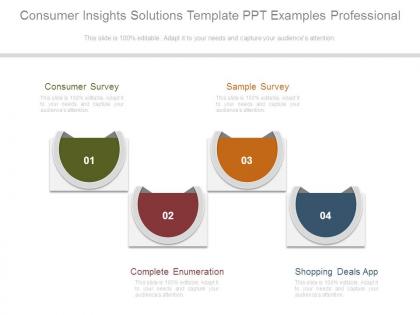 Consumer insights solutions template ppt examples professional