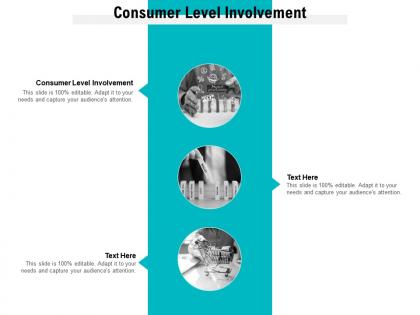 Consumer level involvement ppt powerpoint presentation ideas vector cpb