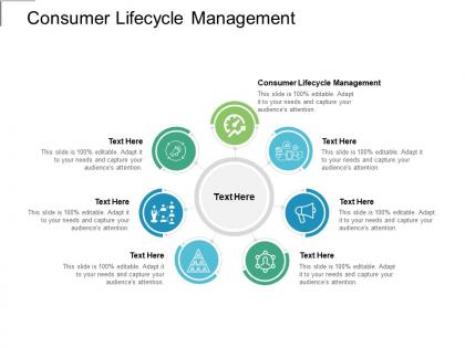 Consumer lifecycle management ppt powerpoint presentation show graphics template cpb