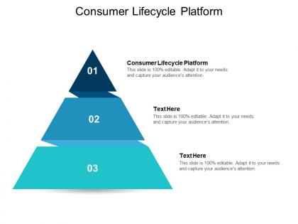 Consumer lifecycle platform ppt powerpoint presentation layouts layout ideas cpb