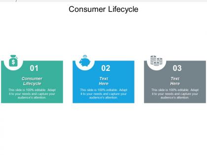 Consumer lifecycle ppt powerpoint presentation gallery graphics download cpb
