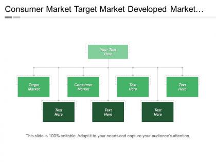 Consumer market target market developed market industrial market