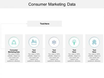 Consumer marketing data ppt powerpoint presentation inspiration layout ideas cpb