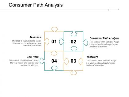 Consumer path analysis ppt powerpoint presentation infographic template portrait cpb
