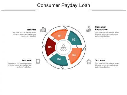 Consumer payday loan ppt powerpoint presentation summary examples cpb