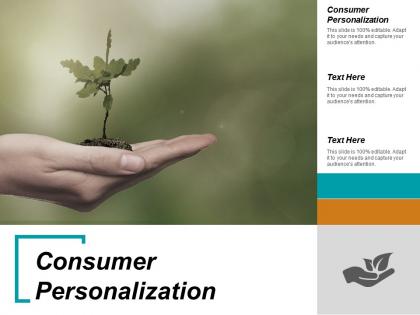 Consumer personalization ppt powerpoint presentation ideas slide download cpb