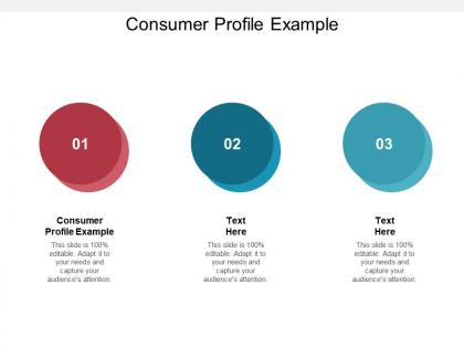 Consumer profile example ppt powerpoint presentation slides graphics example cpb
