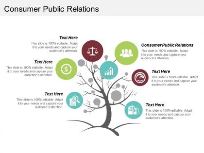 Consumer public relations ppt powerpoint presentation file show cpb