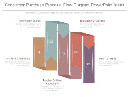 Consumer purchase process flow diagram powerpoint ideas