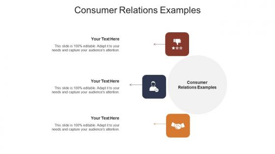 Consumer relations examples ppt powerpoint presentation outline layout cpb